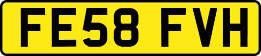 FE58FVH