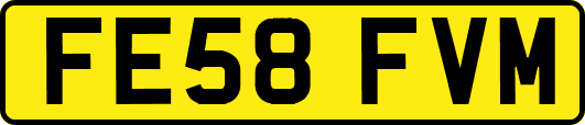FE58FVM