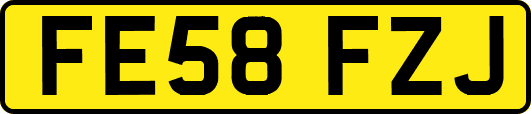FE58FZJ