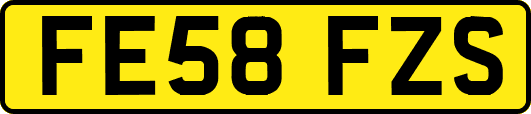 FE58FZS