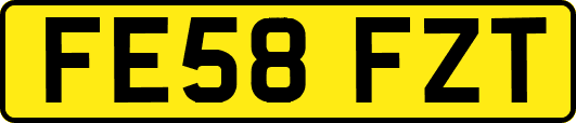 FE58FZT