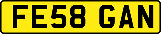 FE58GAN