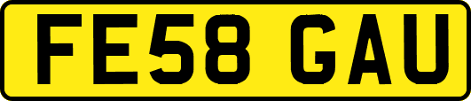 FE58GAU