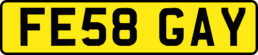 FE58GAY
