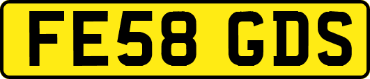 FE58GDS