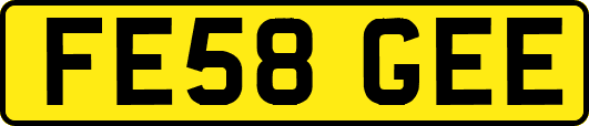 FE58GEE