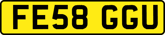 FE58GGU