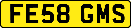 FE58GMS