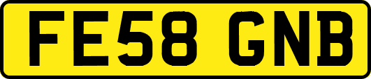 FE58GNB
