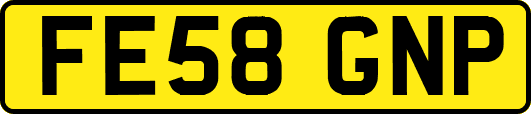 FE58GNP