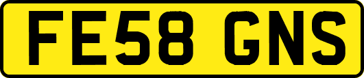 FE58GNS