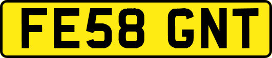FE58GNT