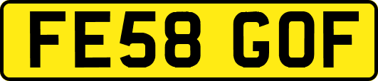 FE58GOF