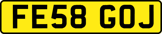 FE58GOJ