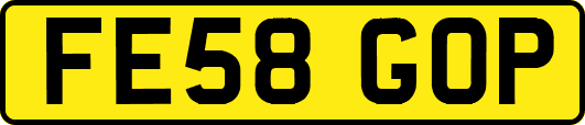 FE58GOP