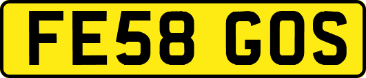 FE58GOS
