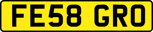 FE58GRO