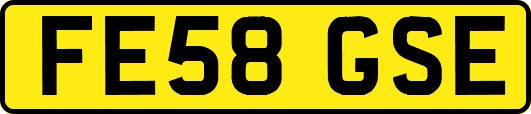 FE58GSE