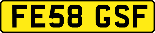 FE58GSF