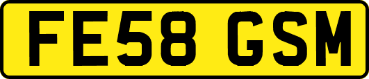 FE58GSM