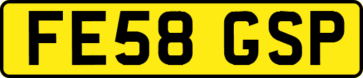 FE58GSP