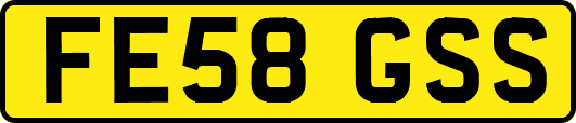 FE58GSS