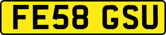 FE58GSU