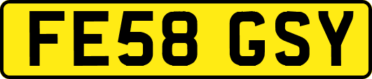 FE58GSY