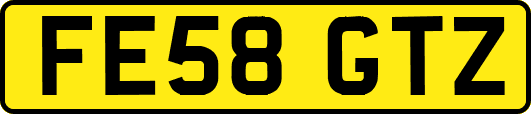 FE58GTZ