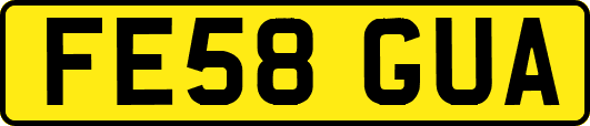 FE58GUA