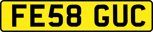 FE58GUC