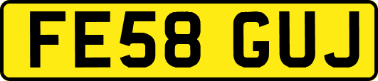 FE58GUJ