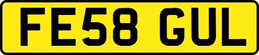 FE58GUL