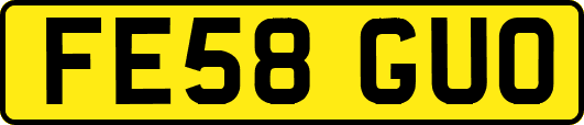 FE58GUO