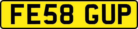 FE58GUP