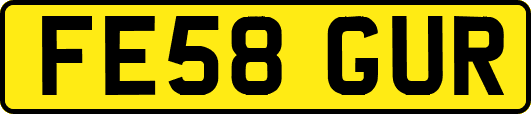FE58GUR