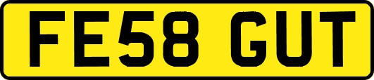 FE58GUT