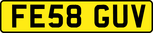 FE58GUV