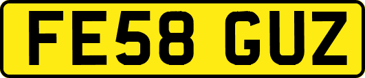 FE58GUZ