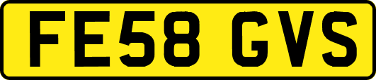 FE58GVS