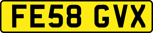 FE58GVX