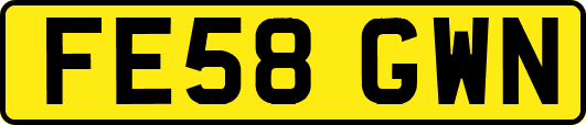 FE58GWN