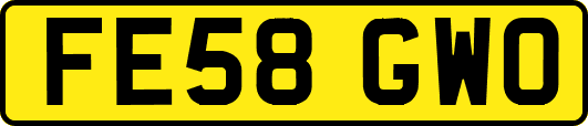 FE58GWO