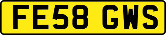 FE58GWS