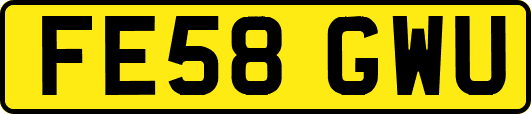 FE58GWU