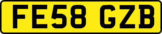 FE58GZB