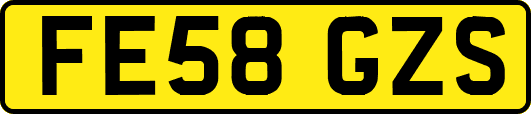 FE58GZS