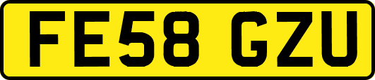 FE58GZU