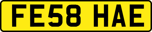 FE58HAE