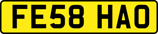 FE58HAO